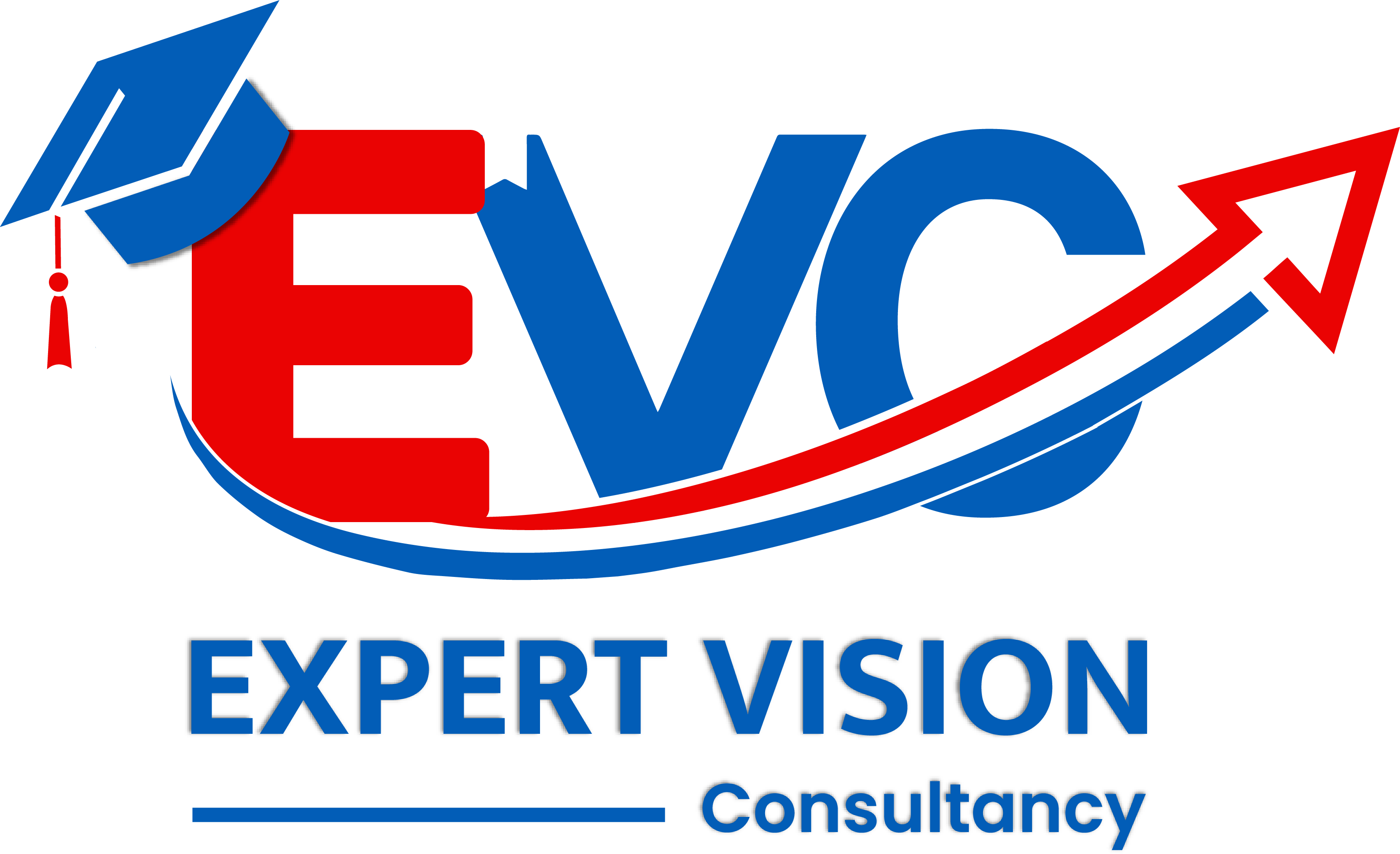 Expert Vision